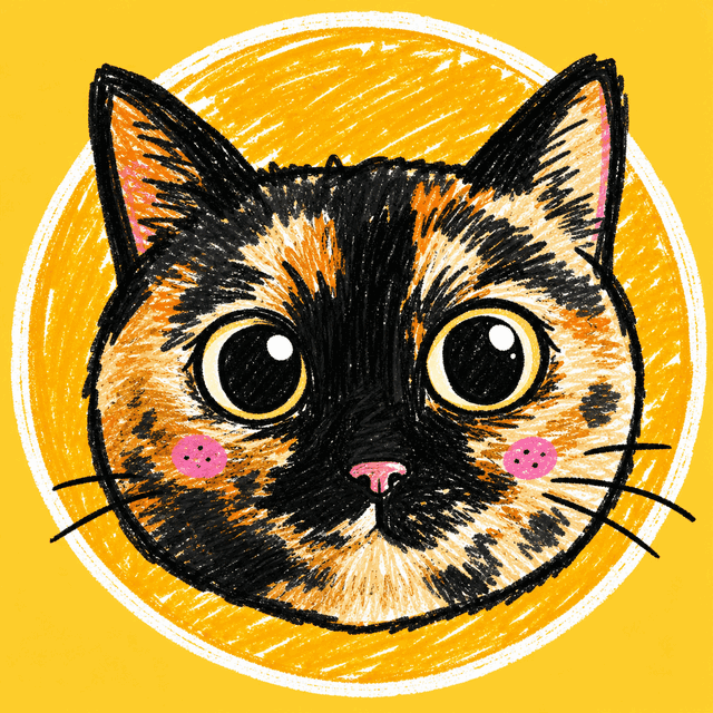 JP the cat